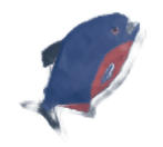 Giant Piranha