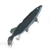 The Old Pike