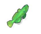 Goby