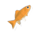 Goldfish