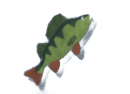 Perch