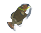 Triggerfish