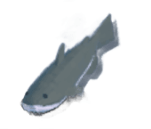 Catfish