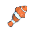 Clownfish