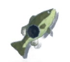 Bass