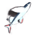 Flying Fish