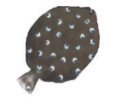 Halibut