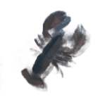 Lobster